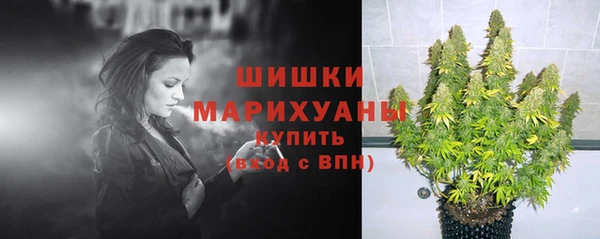 PSILOCYBIN Алзамай