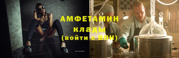 PSILOCYBIN Алзамай