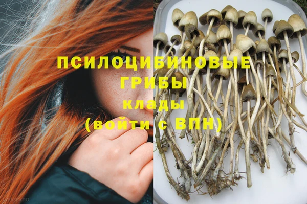 гидра Армянск